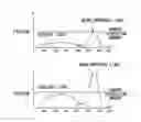Fig. 06 - In vivo identification information creation apparatus and identification apparatus