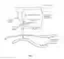Fig. 06 - Optical imaging of subsurface anatomical structures and biomolecules