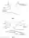 Fig. 09 - Optical imaging of subsurface anatomical structures and biomolecules