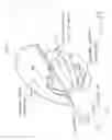 Fig. 13 - Methods and apparatus for securing medical instruments to desired locations in a patient's body