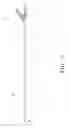 Fig. 03 - Blood treatment catheter and method