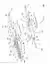 Fig. 06 - Safety catheter