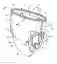 Fig. 01 - Pull-on disposable diaper