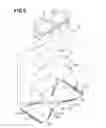 Fig. 06 - Pull-on disposable diaper