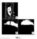 Fig. 02 - Bone treatment instrument and method