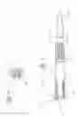 Fig. 05 - Bone fixation system with radially extendable anchor