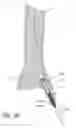 Fig. 18 - Bone fixation system with radially extendable anchor