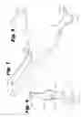 Fig. 04 - Skin abrasion system and method