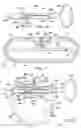 Fig. 09 - Gastrointestinal anchor with optimal surface area
