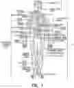 Fig. 02 - Methods and systems for stimulating a peripheral nerve to treat chronic pain
