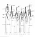 Fig. 35 - Methods and apparatus for endovascularly replacing a heart valve