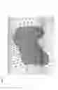 Fig. 34 - Deterministic computation of radiation doses delivered to tissues and organs of a living organism