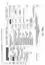 Fig. 32 - Method and apparatus for improved customer direct on-line reservation of rental vehicles