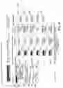 Fig. 37 - Method and apparatus for improved customer direct on-line reservation of rental vehicles