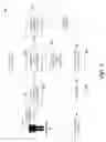 Fig. 03 - Threshold billing