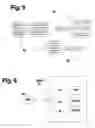 Fig. 06 - System and method for processing tokenless biometric electronic transmissions using an electronic rule module clearinghouse