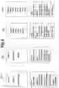 Fig. 08 - Remote process capture, identification, cataloging and modeling
