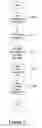 Fig. 06 - Support for real-time queries concerning current state, data and history of a process