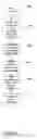 Fig. 04 - Support for real-time queries concerning current state, data and history of a process