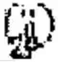 Fig. 30 - Instant messaging terminal adapted for Wi-Fi access points