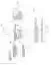 Fig. 08 - Accelerated reception of spatial-to-temporal translated data