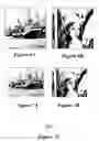 Fig. 07 - Robust digital image watermarking utilizing a Walsh transform algorithm