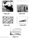 Fig. 08 - Robust digital image watermarking utilizing a Walsh transform algorithm