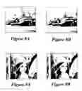 Fig. 09 - Robust digital image watermarking utilizing a Walsh transform algorithm