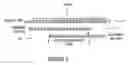 Fig. 03 - Device and method for concealing an error
