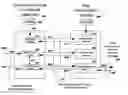 Fig. 01 - Transforming data automatically between communications parties in a computing network