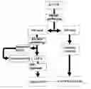 Fig. 01 - Method and system for hardware accelerated verification of digital circuit design and its testbench