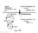 Fig. 17 - Method and system for hardware accelerated verification of digital circuit design and its testbench
