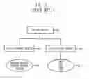 Fig. 02 - Method for providing pay-TV service based on session key