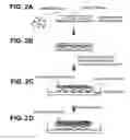 Fig. 03 - RhPV as a model for HPV-induced cancers