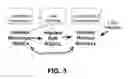 Fig. 04 - RhPV as a model for HPV-induced cancers