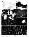 Fig. 06 - Mouse models for studying and treating hepatocellular and gastrointestinal tumors