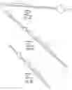 Fig. 15 - MicroRNAs in plants