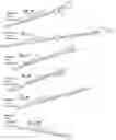 Fig. 16 - MicroRNAs in plants