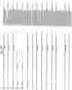 Fig. 48 - MicroRNAs in plants