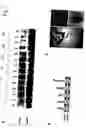 Fig. 02 - : interacts with and regulates CBF expression and freezing tolerance in 