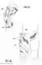 Fig. 12 - Vibration dampening material and method of making same