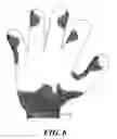 Fig. 06 - Protective glove with improved coiled wrist strap