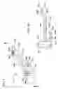 Fig. 04 - Toilet system attached a hand held sprayer