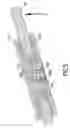 Fig. 06 - Adjustable automatic positioning hinge for glass doors