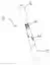 Fig. 01 - Shearing device including ridges