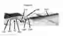 Fig. 03 - ORBITAL RECIPROCATING SAW