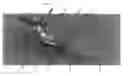 Fig. 04 - ORBITAL RECIPROCATING SAW