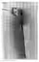 Fig. 05 - In-line sanding paddle with multiple extensions having certain tensile strengths