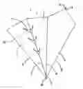 Fig. 01 - Flower container