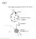 Fig. 08 - Nox purging system and method of reactivating deteriorated catalyst therein
